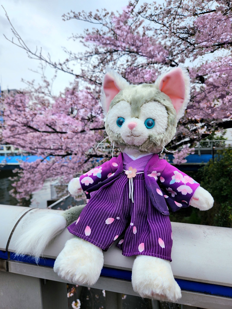 Gelatoni