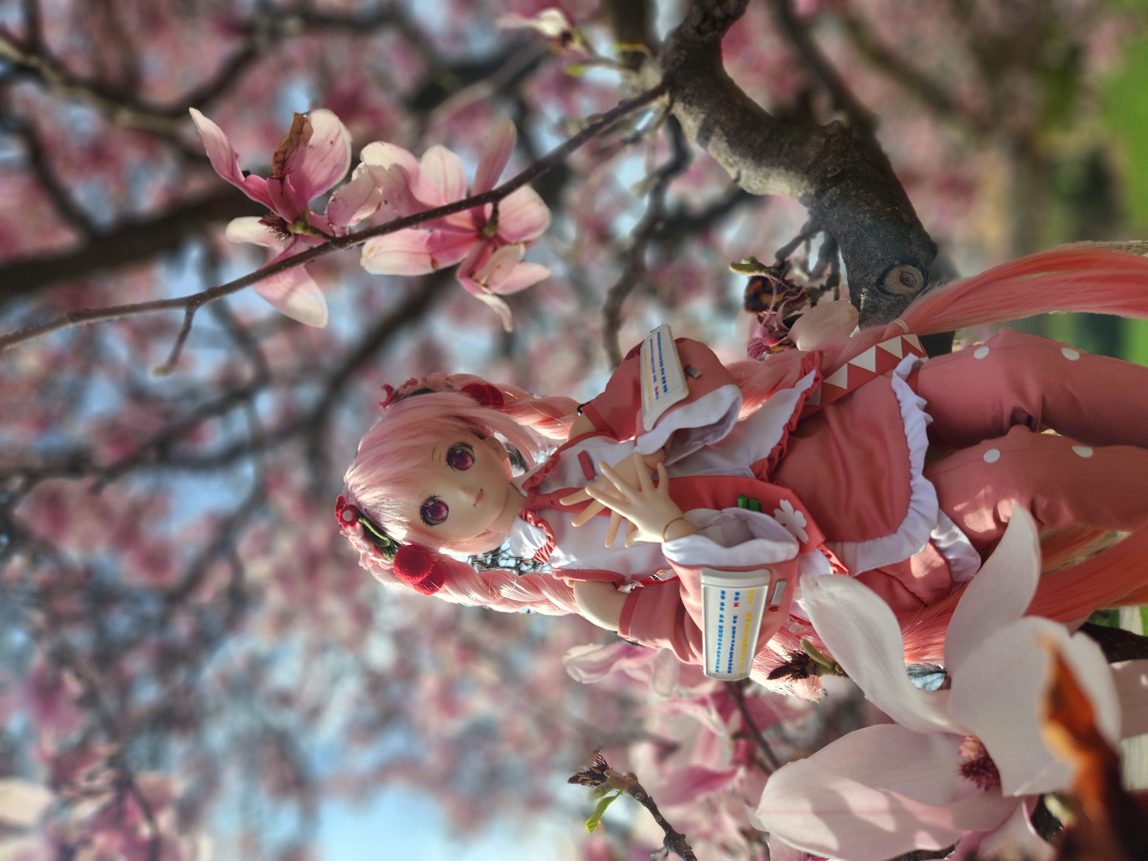 Miku