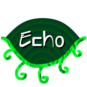 Echo